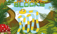Snake Blocks